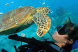 Great Barrier Reef Day Tour