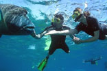 Great Barrier Reef Tour Overnight