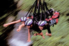 Bungee Minjin Jungle Swing