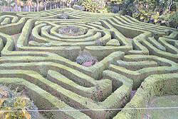 Queensland Australia Things to do - Bellingham Maze 