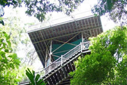 Daintree Eco Centre in the Daintree Rainforest