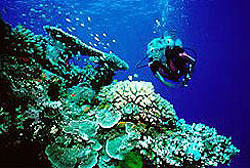 Great Barrier Reef