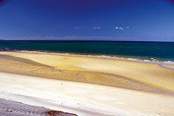 Fraser Island 