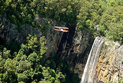 Gold Coast Rainforest