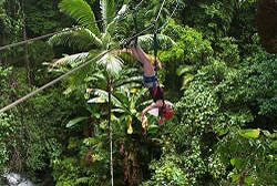 Jungle Surfering