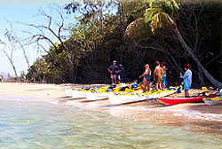 Mission Beach near Townsville