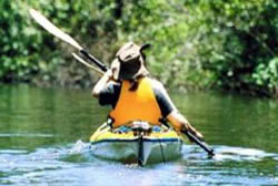 Noosa Everglades