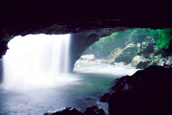 Queensland National Park