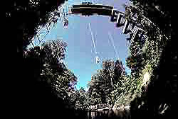Bungy Jumping Queensland