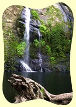 Cassowary Falls Daintree Australia