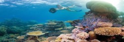 Great Barrier Reef